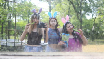 wildy 25 (1)