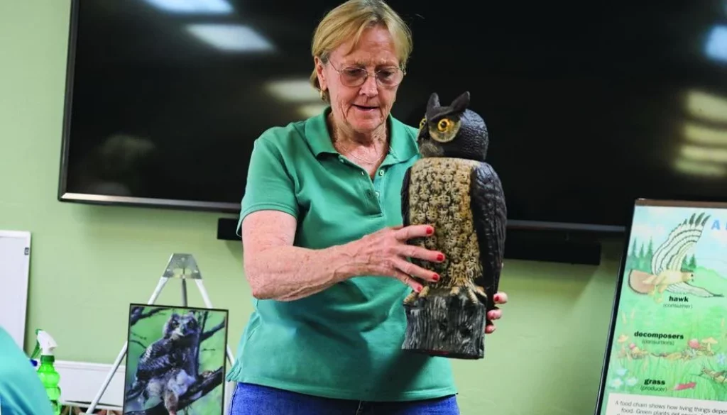 owl