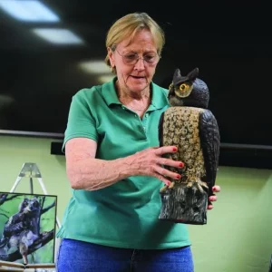 owl