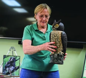 owl